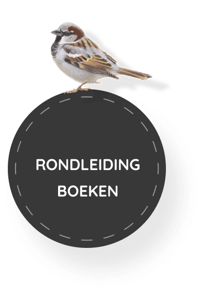 Kinderopvang Stap voor Stap foto 8