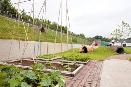 Kinderopvang Het Erf foto 4