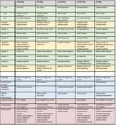 BSO De Wereld foto 4