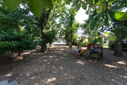 Avonturijn BSO Pluto foto 5