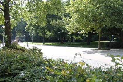 Partou KDV Javaplantsoen 9 foto 6