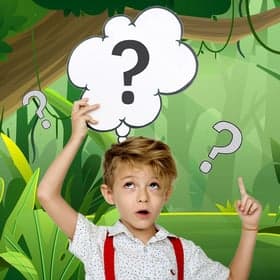 BSO Smeerkees foto 6