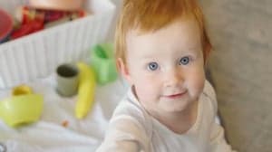 KDV Het Groeibos foto 8