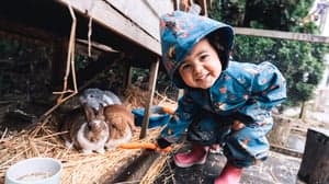 ZON! Scharrelpeuters