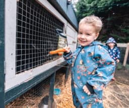 ZON! Scharrelpeuters 2