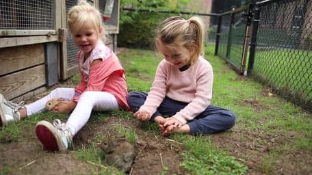 Kinderdagverblijf 't Egeltje foto 8