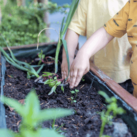 Kids and Carrots aan de Witte de Withstraat foto 7
