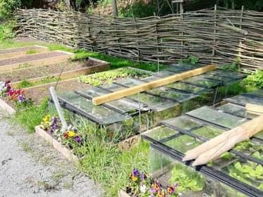 Club Basker - 's-Gravenweg foto 4