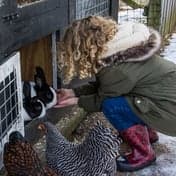 Kinderdagverblijf Nijntje 2