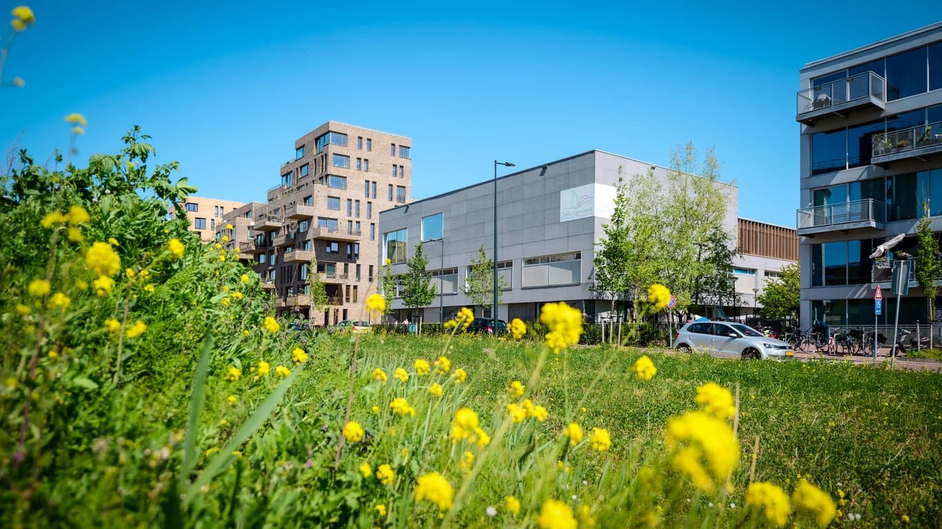 Partou BSO KC De Optimist 2