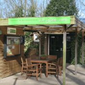 BSO Buiten Scouting foto 8