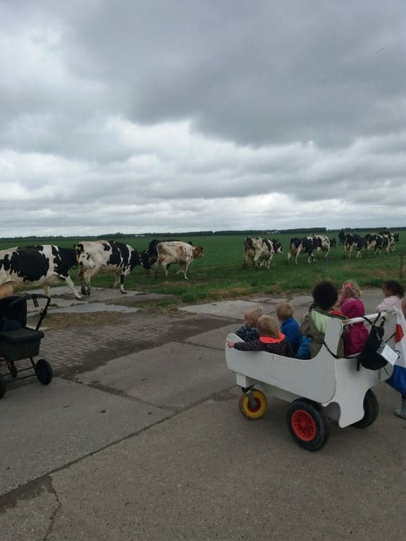 KDV 't Krieltje foto 9