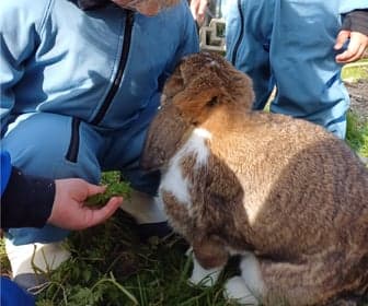 Eigen&Wijzer BSO JKC De Opbouw foto 6
