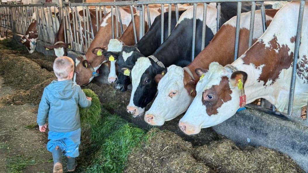 Kinderdagverblijf Boerenmaatjes foto 8