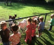 Kinderdagverblijf Zolderkids foto 8