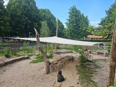 Eigen&Wijzer KDV Joy foto 7