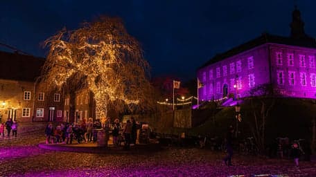 Het Sprookjeskasteel 2