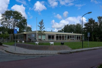 Pinokkio Zoutkamp