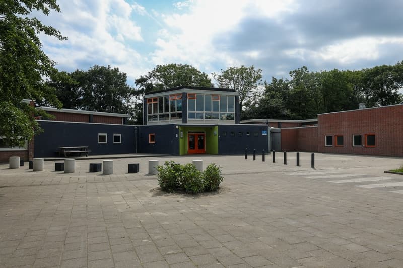 Pinokkio Zoutkamp foto 5