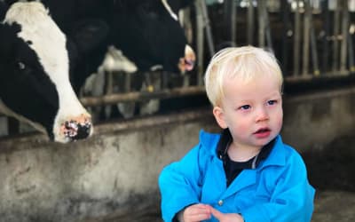 Helden Opvang Dorpsstraat foto 10