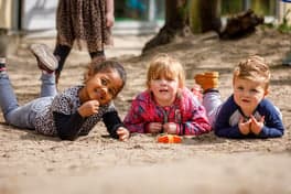 BSO Mundo de Vuurvogel foto 6