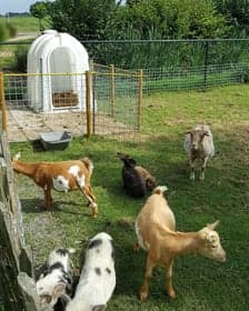 KDV De Speelboerderij foto 4