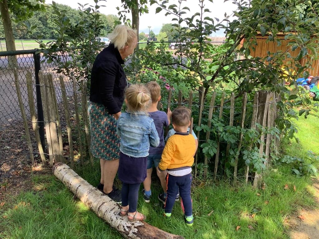 KDV De Speelboerderij foto 7