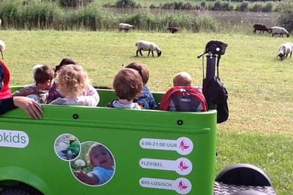 Kindercentrum Quinzokids B.V. foto 5