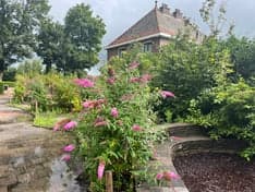 Eigen&Wijzer Peuteropvang Reahûs foto 4