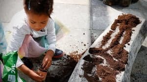 Onder de Bogen foto 10