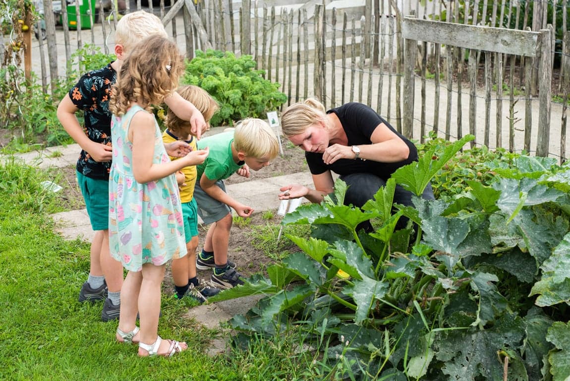 BSO De Kleine Kornuiten foto 6
