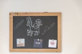 Donkies Rijsbergen BSO foto 5