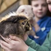 Kindcentrum Koning Groen foto 6