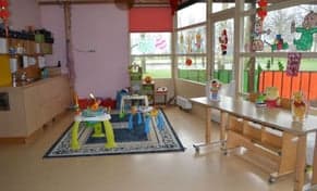 De Lolifantjes foto 5