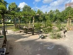 Eigen&Wijzer BSO Joy foto 6