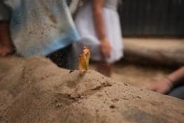 Topkids Soest Peuterplus foto 7