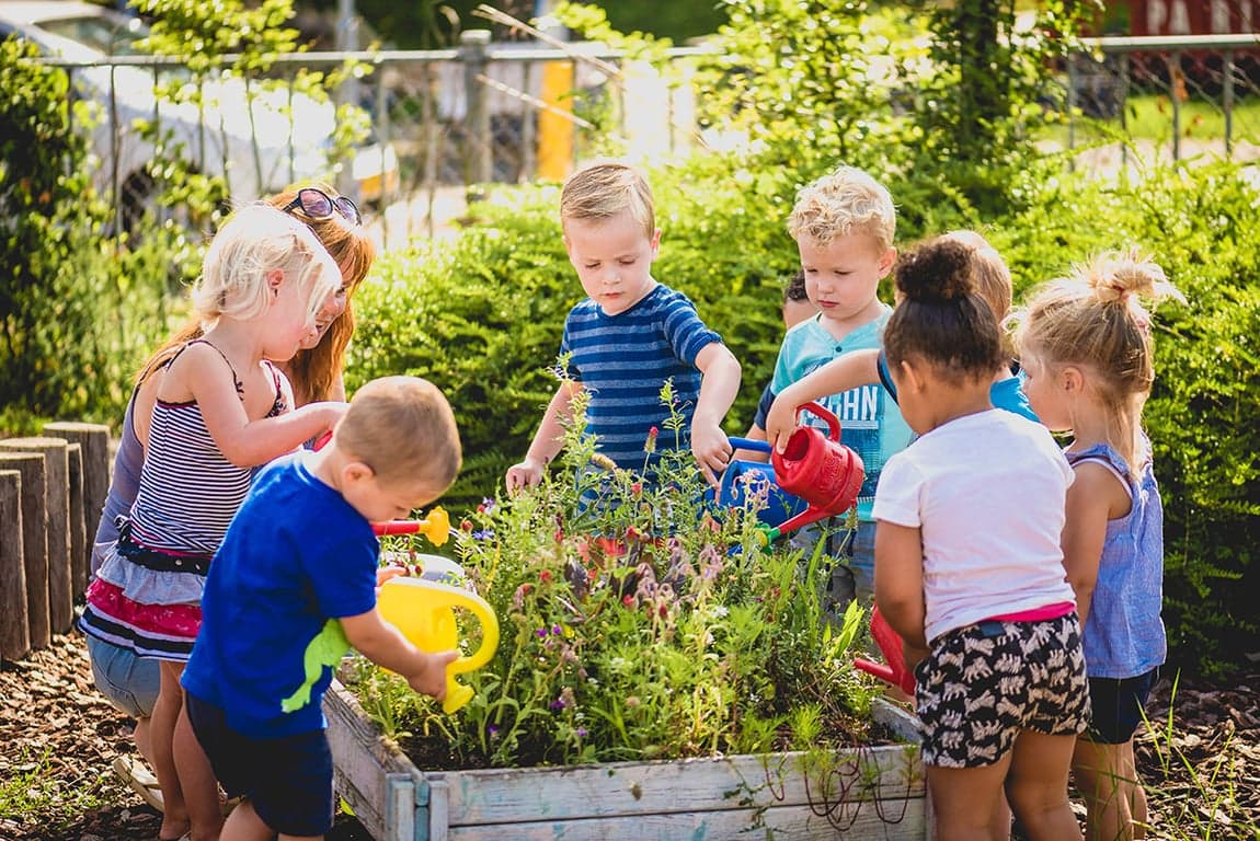 Kindercentrum Toethoorn 2