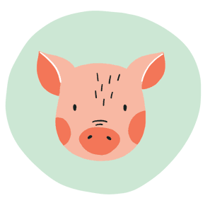 Kinderdagverblijf KidZoo foto 9