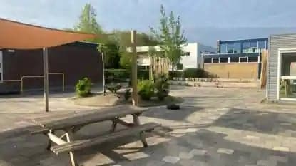 Haantje de Voorste foto 6