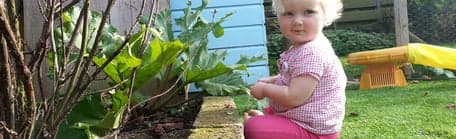 Onder de Perenboom - Twekkelerveld foto 5