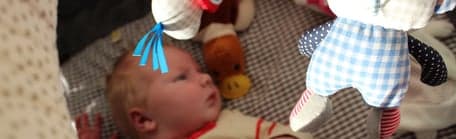 Onder de Perenboom - Twekkelerveld foto 6