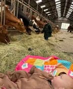 Kinderdagverblijf Hoeve Ruitenbeek B.V.