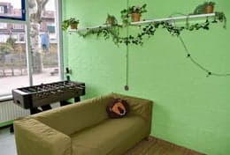 Babino BSO de Dijk Oost foto 6