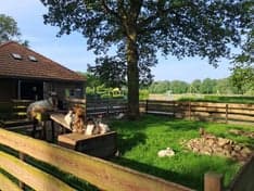 Stap foar Stap Kleurrijk B.V. foto 6