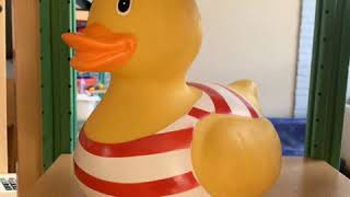 Kinderdagverblijf 't Eerste Stapje foto 4