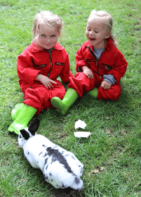 Beerengoed I en II 3