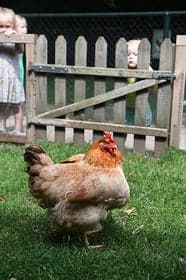 Beerengoed I en II foto 5