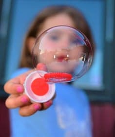 Prokino De Koningsvlinder BSO foto 4