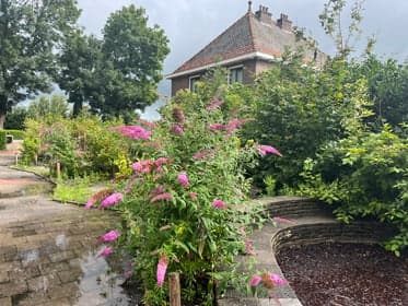 Eigen&Wijzer BSO IKC Sint Bonifacius foto 10