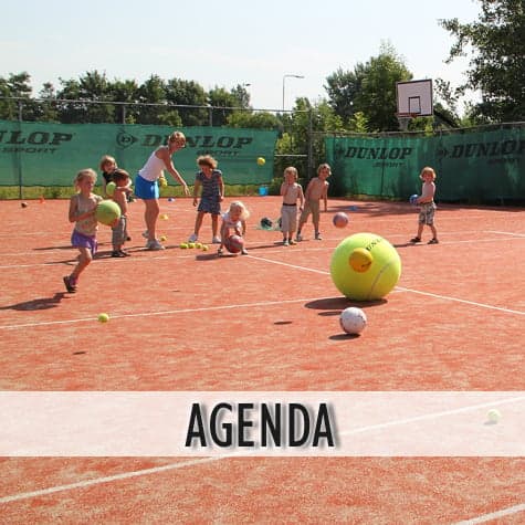 Sport en Spel NSO Leeuwenbergh 'Simba' foto 6